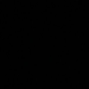 Meet your Posher, Lex